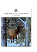 Arizona Wildlife Views Magazine