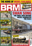 issue image