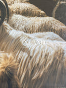 Inland Magazine