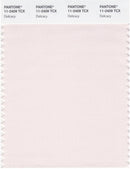 Pantone Smart 11-2409 TCX Color Swatch Card | Delicacy