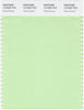 Pantone Smart 12-0225 TCX Color Swatch Card | Patina Green