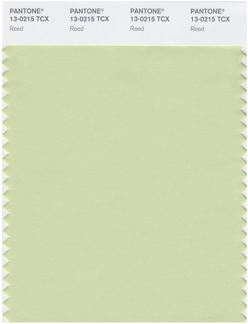 Pantone Smart 13-0215 TCX Color Swatch Card | Reed