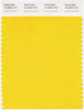 Pantone Smart 13-0859 TCX Color Swatch Card | Lemon Chrome