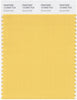 Pantone Smart 13-0940 TCX Color Swatch Card | Sunset Gold