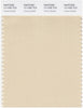 Pantone Smart 13-1006 TCX Color Swatch Card | creme-brulee