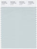 Pantone Smart 13-4404 TCX Color Swatch Card | Ice Flow