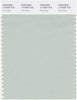 Pantone Smart 13-5305 TCX Color Swatch Card | Pale Aqua