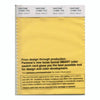 Pantone Smart 13-0851 TCX Color Swatch Card | Minion Yellow™