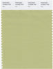 Pantone Smart 14-0223 TCX Color Swatch Card | Nile