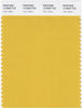 Pantone Smart 14-0846 TCX Color Swatch Card | Yolk Yellow