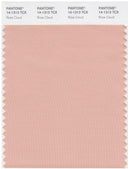 Pantone Smart 14-1313 TCX Color Swatch Card | Rose Cloud