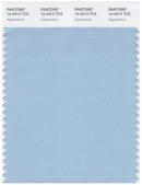 Pantone Smart 14-4313 TCX Color Swatch Card | Aquamarine