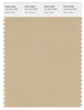 Pantone Smart 15-1214 TCX Color Swatch Card | Warm Sand