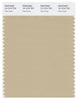 Pantone Smart 15-1216 TCX Color Swatch Card | Pale Khaki