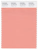 Pantone Smart 15-1433 TCX Color Swatch Card | Papaya Punch