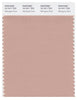 Pantone Smart 15-1511 TCX Color Swatch Card | Mahogany Rose