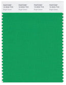 Pantone Smart 15-5534 TCX Color Swatch Card | Bright Green