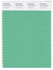 Pantone Smart 15-6123 TCX Color Swatch Card | Jade Cream
