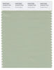 Pantone Smart 15-6315 TCX Color Swatch Card | Smoke Green