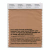 Pantone Smart 15-1430 TCX Color Swatch Card | Pastry Shell