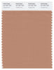 Pantone Smart 16-1327 TCX Color Swatch Card | Toasted Nut