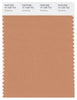 Pantone Smart 16-1328 TCX Color Swatch Card | Sandstone
