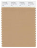 Pantone Smart 16-1334 TCX Color Swatch Card | Tan