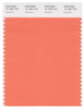 Pantone Smart 16-1360 TCX Color Swatch Card | Nectarine