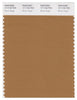 Pantone Smart 17-1134 TCX Color Swatch Card | Brown Sugar