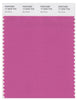 Pantone Smart 17-2520 TCX Color Swatch Card | Ibis Rose