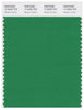 Pantone Smart 17-6229 TCX Color Swatch Card | Medium Green