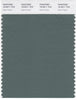 Pantone Smart 18-5611 TCX Color Swatch Card | Dark Forest