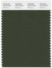 Pantone Smart 19-0419 TCX Color Swatch Card | Rifle Green