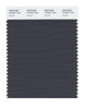Pantone Smart 19-0201 TCX Color Swatch Card | Asphalt