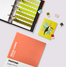 SOLID CHIPS | COATED & UNCOATED