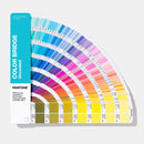 COLOR BRIDGE GUIDE | UNCOATED