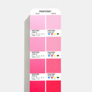 COLOR BRIDGE GUIDE | UNCOATED