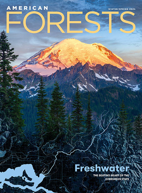 American Forests Magazine