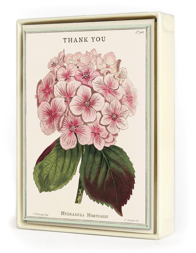 Cavallini & Co. Hydrangea Boxed Thank You Notecards