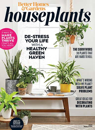Better Homes & Gardens Magazine - House Plants