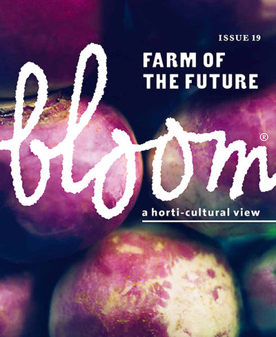 Bloom Magazine
