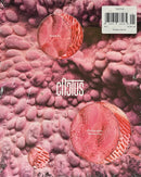 Cactus Magazine