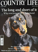 Country Life Magazine cover featuring a black and tan dachshund with headlines about dogs horses and service stations in a collection of Magazines