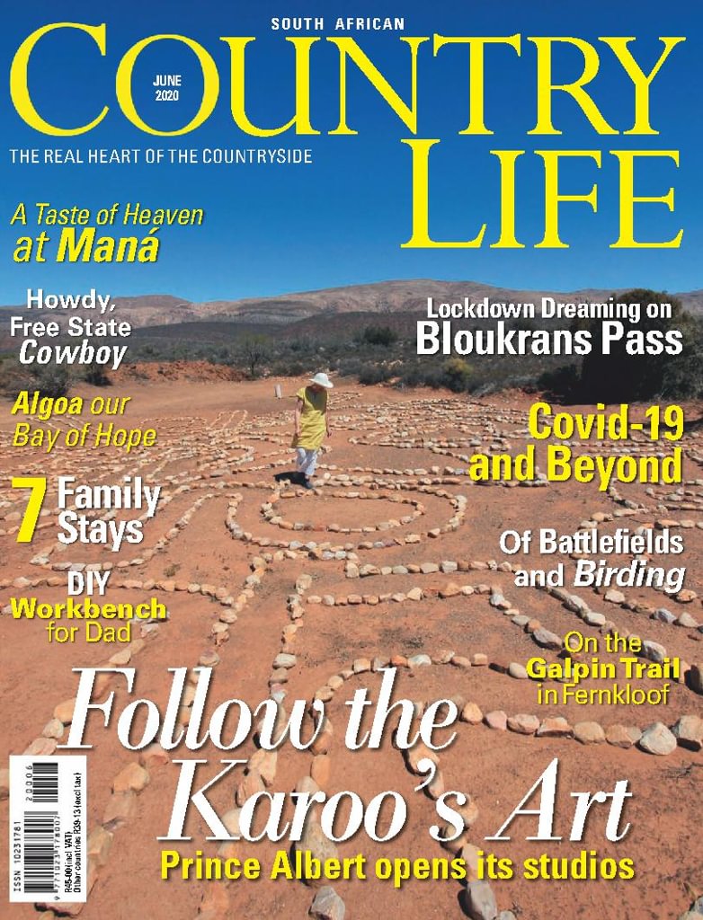 issue image
