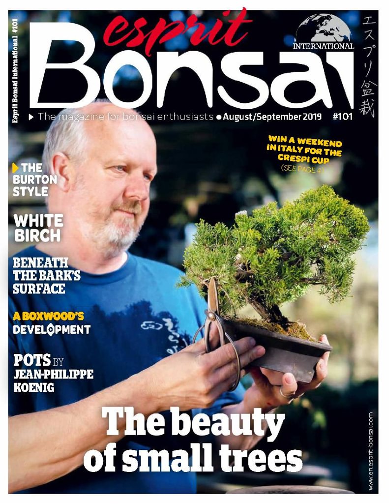 issue image