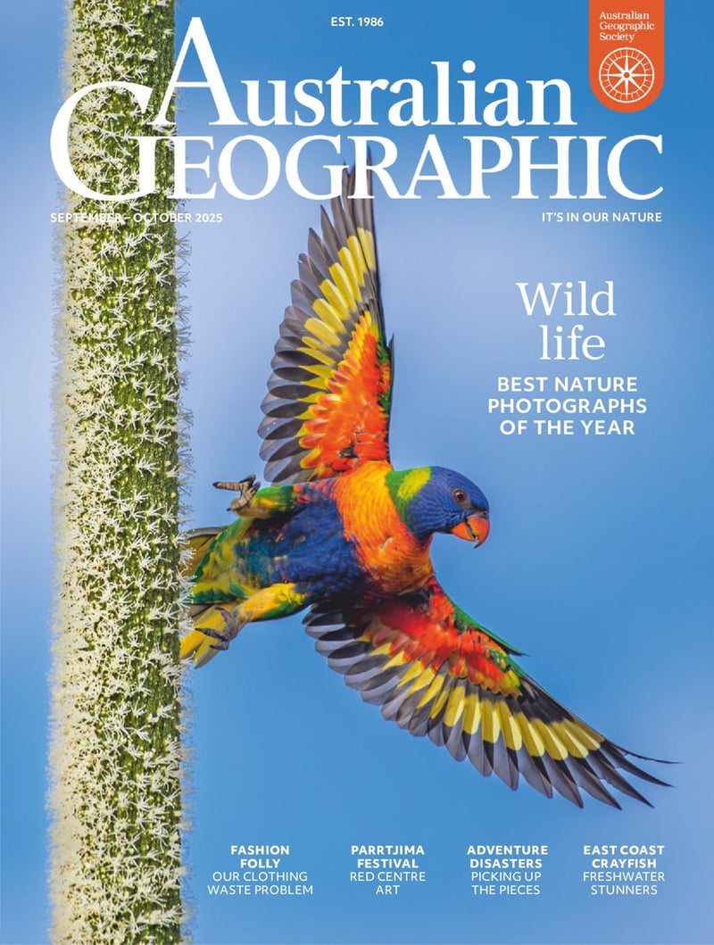 issue image