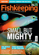 issue image