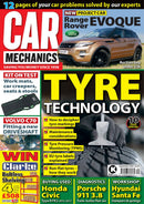 issue image