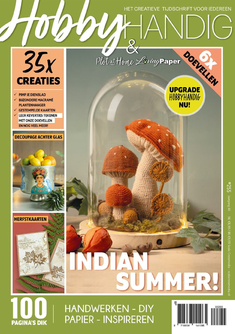 issue image