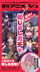 issue image
